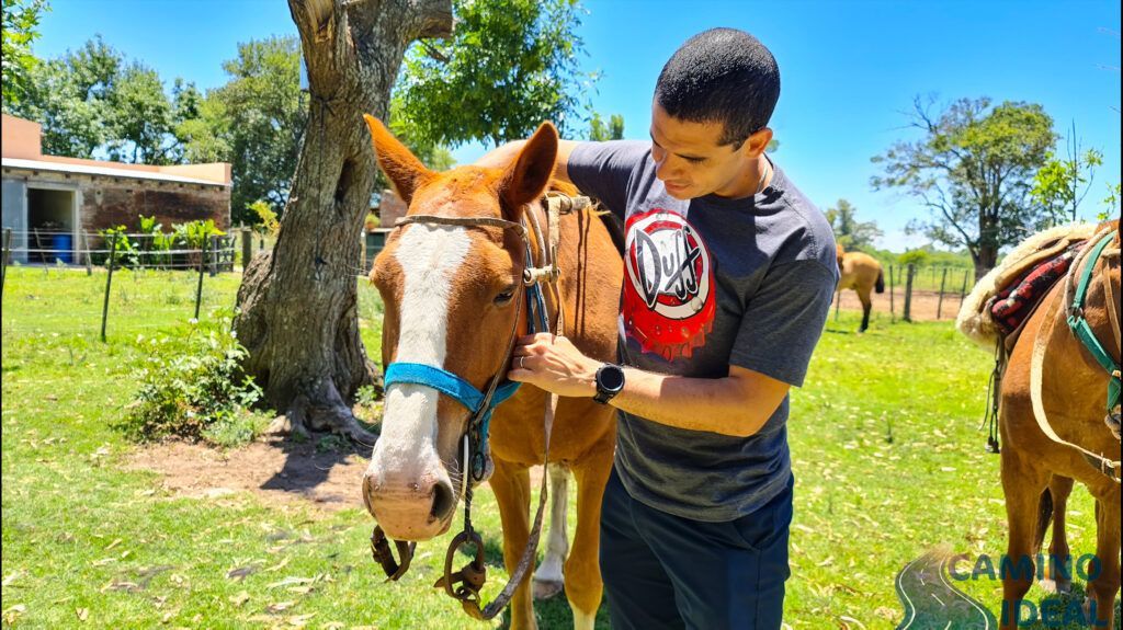 Edu acariciando un caballo en el día de campo en La Florita